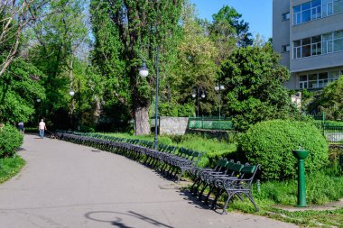 Romanya 'nın Bükreş kenti Gradina Cismigiu' da (Cismigiu Garden) güneşli bir sonbahar gününde, gri sokak ve yeşil bitkilerle çevrili çok sayıda yeşil sandalye, yeşil kireç ağaçları ve çimenler