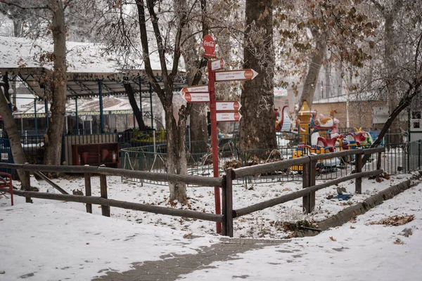 Central Park 'ta karlı bir gün, karlı bir park.