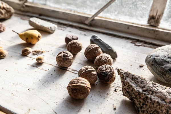 Kapı pervazında ceviz var. Gün ışığı içeride.