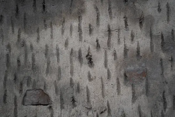 灰色的，发牢骚的纹理墙。复制空间，冬季 — 图库照片