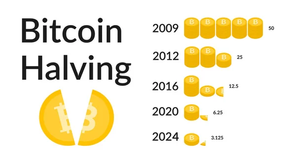 Bitcoin-Halbierung der Vektorillusion 2024 Vektorgrafiken