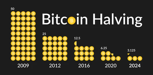 Bitcoin-Halbierung der Vektorillusion 2024 Stockvektor