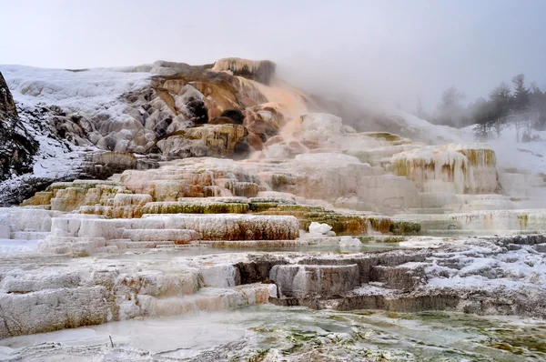 Kış Yellowstone