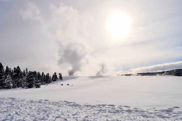 Yellowstone télen — Stock Fotó