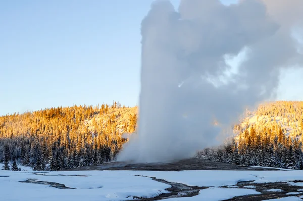 Old faithful — Stock Photo, Image