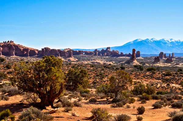 Arches national park — Stockfoto