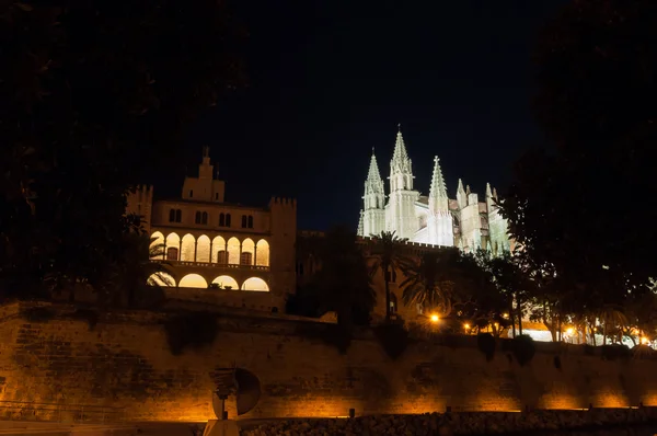 Palác almudaina reálné a katedrála v palma de mallorca, balear — Stock fotografie