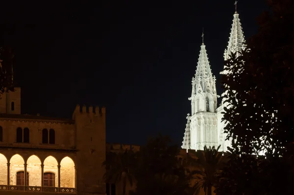 Echter Almudaina Palast und Kathedrale in Palma de Mallorca, Balear — Stockfoto