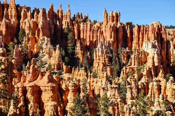 Bryce Canyon Nationaal Park, Utah — Stockfoto