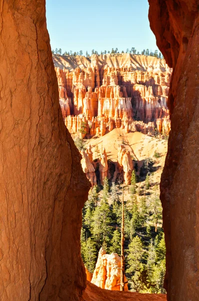 Bryce Canyon Nationaal Park, Utah — Stockfoto