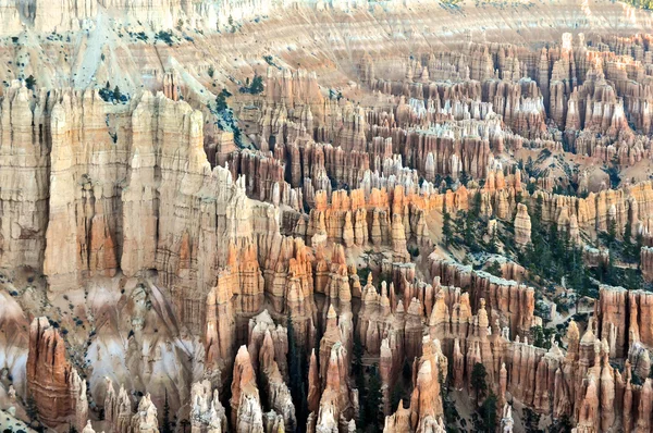 Bryce Canyon Nationaal Park, Utah — Stockfoto