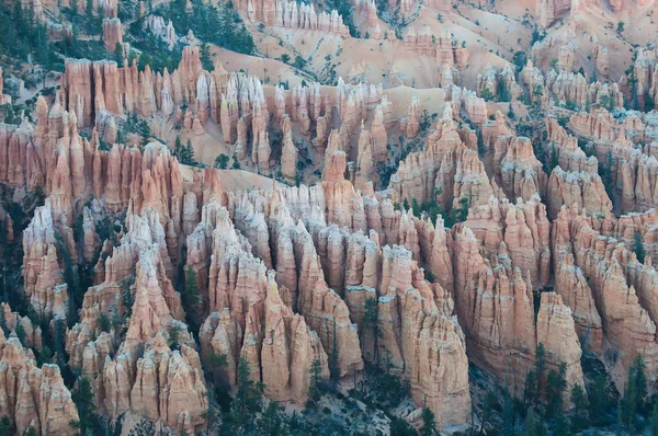 Bryce Canyon Nationaal Park, Utah — Stockfoto