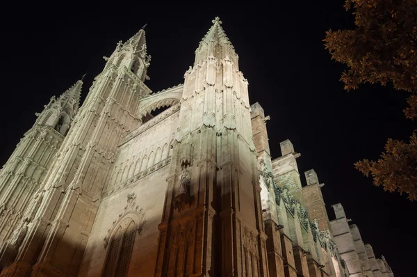 Kathedrale von Palma de Mallorca, Balearen, Spanien — Stockfoto