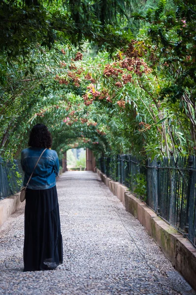 Tunnel in een hedge — Stockfoto