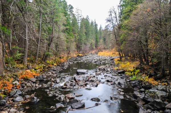 Nationaal park Yosemite — Stockfoto