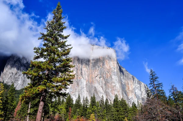 Parque Nacional Yosemite — Foto de Stock