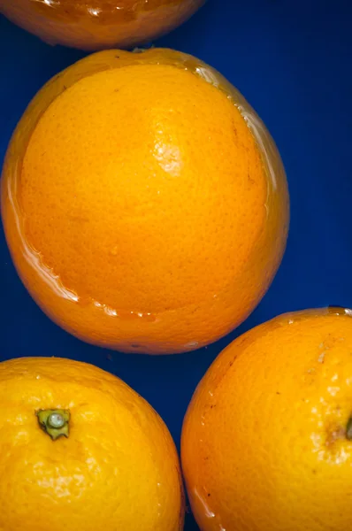 Naranjas Imagen de stock