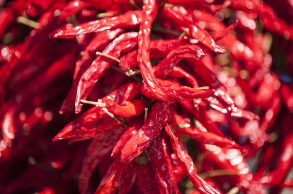 Pimientos rojos Fotos de stock libres de derechos