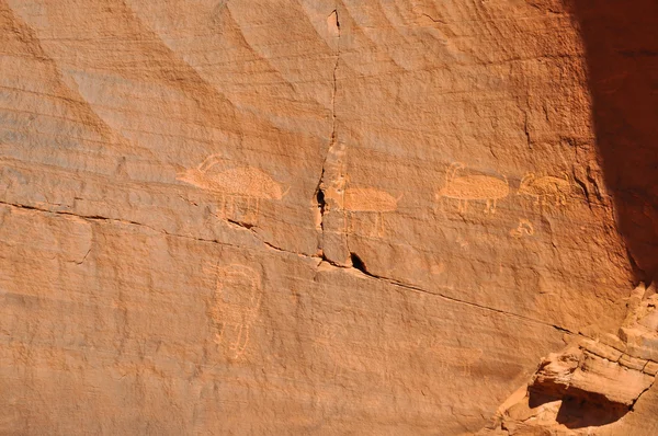 Ancient Petroglyph — Stock Photo, Image