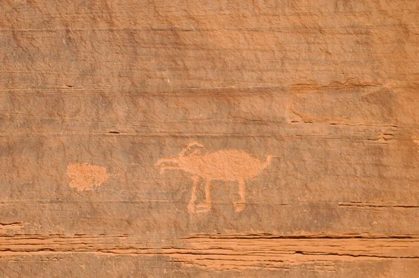 Ancient Petroglyph — Stock Photo, Image