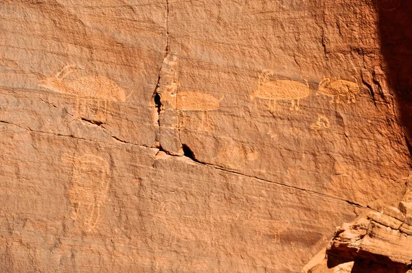 Ancient Petroglyph — Stock Photo, Image