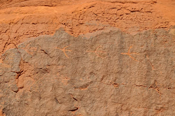 Antike Petroglyphe — Stockfoto