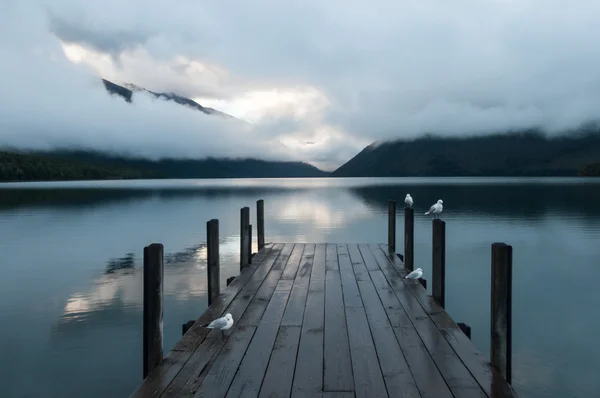 Nelson lakes nationalpark neuseeland — Stockfoto
