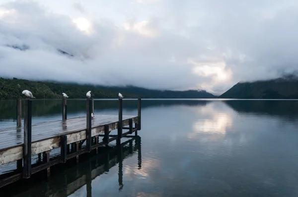 Nelson lakes nationalpark neuseeland — Stockfoto