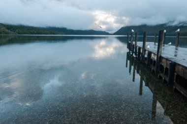 Nelson gölleri Milli Parkı Yeni Zelanda