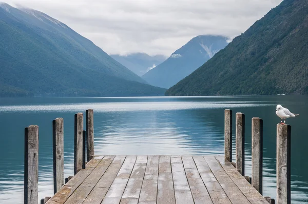 Nelson lakes nationalpark neuseeland — Stockfoto