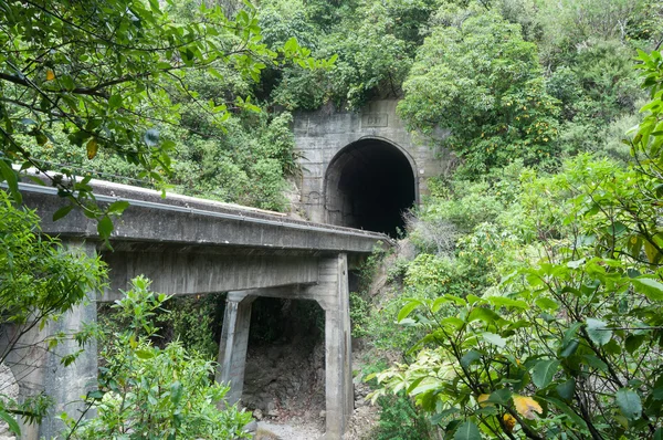 Train tunnel — Stock Photo, Image