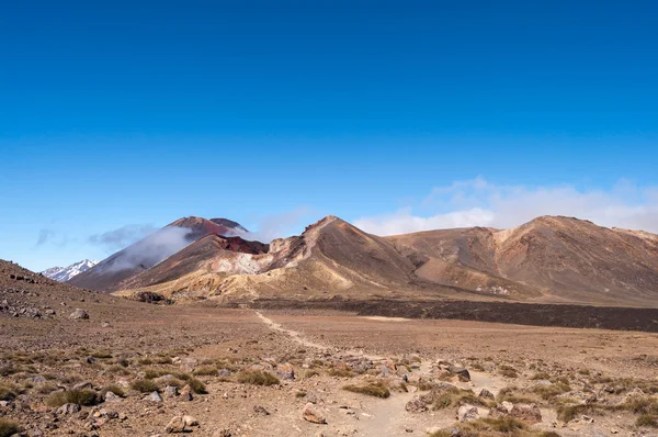 Mt Ngauruhoe panorama — Stock Photo, Image