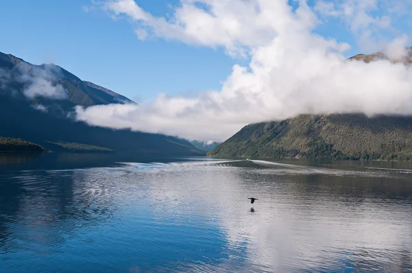 Νέλσον λίμνες εθνικό πάρκο Νέας Ζηλανδίας — Φωτογραφία Αρχείου