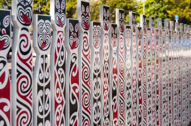 Çit geleneksel Maori ile karşı karşıya