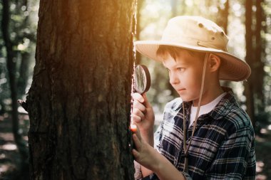 Erkek biyolog ya da böcekbilimci doğayı inceliyor. Ormanda keşif gezisi. Bir genç böcekleri inceler. Biyoloji. Jeoloji. Ormana keşif gezisi.