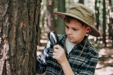 Erkek biyolog ya da böcekbilimci doğayı inceliyor. Ormanda keşif gezisi. Bir genç böcekleri inceler. Biyoloji. Jeoloji. Ormana keşif gezisi.