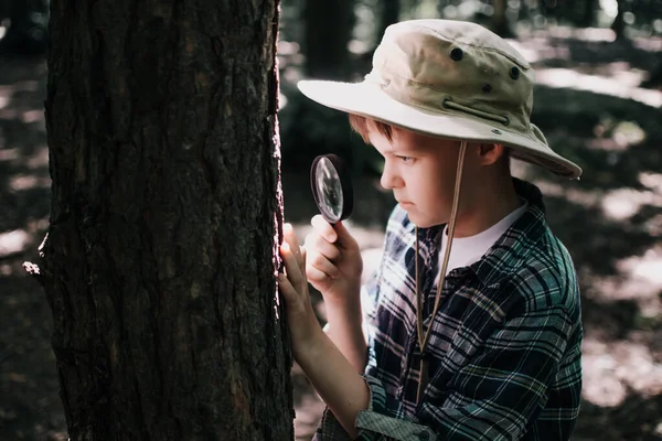 Boy biologist or entomologist studies nature. Scout in the forest. A teenager studies insects. Biology. Geology. Expedition in the forest.