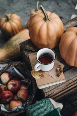 Sonbahar tarzı kompozisyon. Sonbahar kahvaltısı hala hayattadır. İskandinav kızlık zarı kavramı. Sabah konsepti. Balkabakları ve elmalarla dolu samimi bir sonbahar sahnesi. Düz yatıyordu. Ev dekoru.