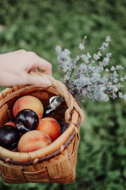 Beautiful trendy picnic. Romantic picnic. Provence atmosphere. Peaches and lavender. Basket with fruits.	