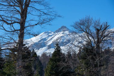 Lagonaki, Adygea, Rusya 'daki Kafkas Dağları' nın güzel manzarası