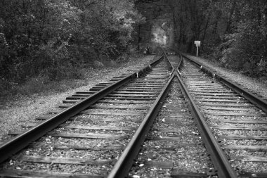 Umutsuz bir kıyamet sonrası manzarası. Terk edilmiş tren mezarlığı. Tek renkli fotoğraf..
