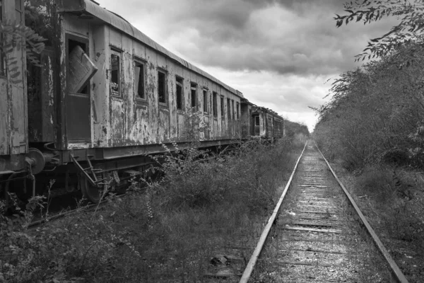 Umutsuz bir kıyamet sonrası manzarası. Terk edilmiş tren mezarlığı. Tek renkli fotoğraf..
