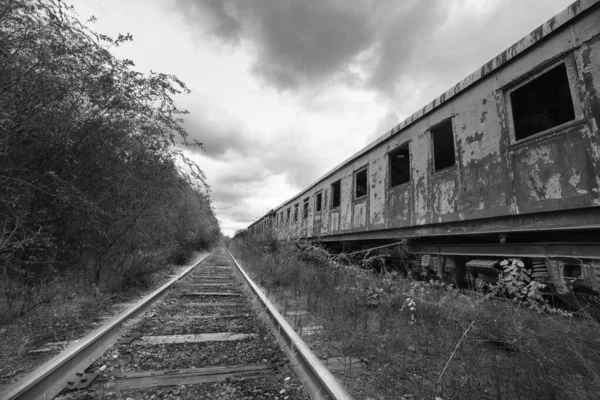 Umutsuz bir kıyamet sonrası manzarası. Terk edilmiş tren mezarlığı. Tek renkli fotoğraf..