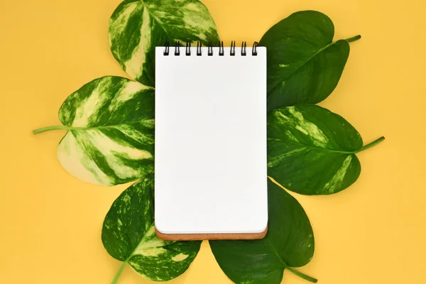 Top View Empty Opened Blank Notebook Golden Pothos Leaves Yellow —  Fotos de Stock