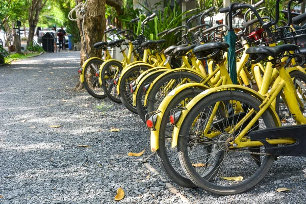 Городской Велосипед Ряд Желтого Цвета Общественные Велосипеды Аренду Парковка Пешеходной — стоковое фото