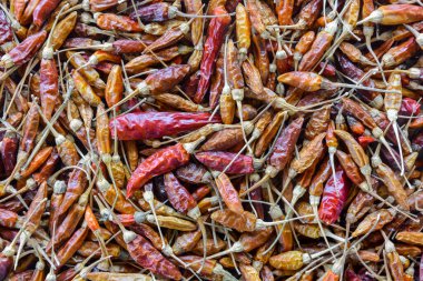 Arkaplan için üst görünüm kuru acı biber dokusu