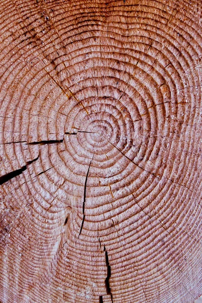 Cut of a tree structure