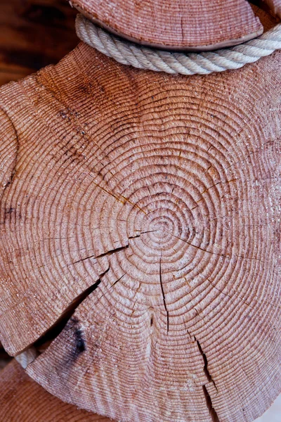 Cut of a tree structure