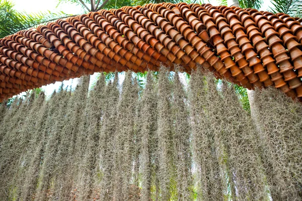 Panelas de flor marrom arco — Fotografia de Stock