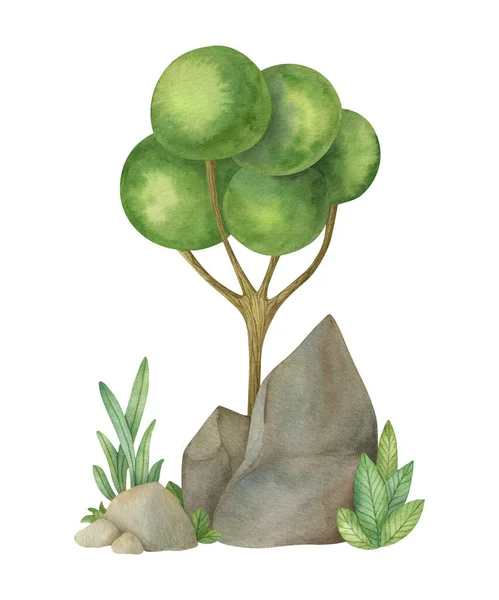 Akvarel Krajiny Složení Stromu Trávy Skály Karikatura Izolované Ilustrace Světlém — Stock fotografie